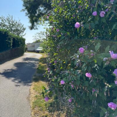 Camping Fleuri Ma Campagne