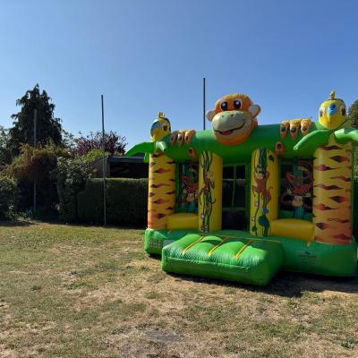 Jeu Gonflable Camping Residentiel Ma Campagne