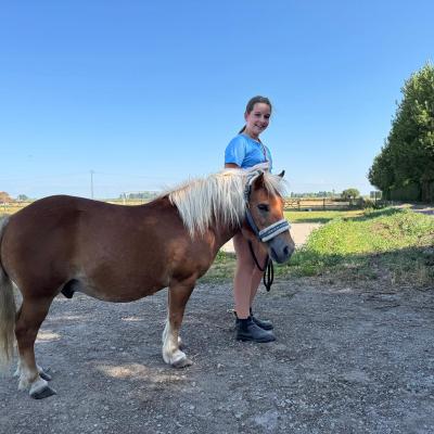 Poney Camping Residentiel Ma Campagne