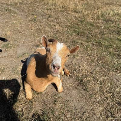 Residents Camping Residentiel Ma Campagne